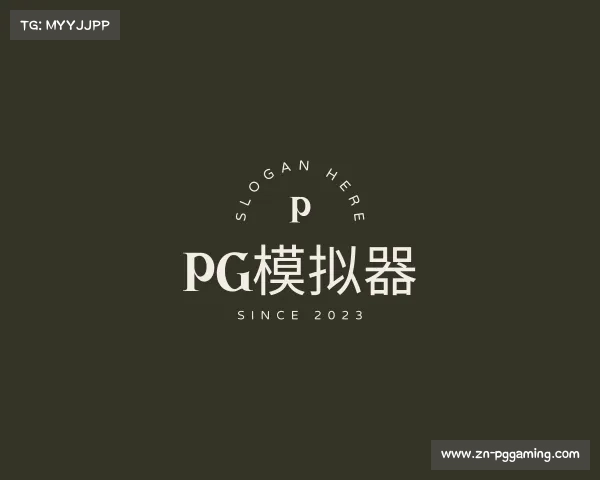 认识pg模拟器